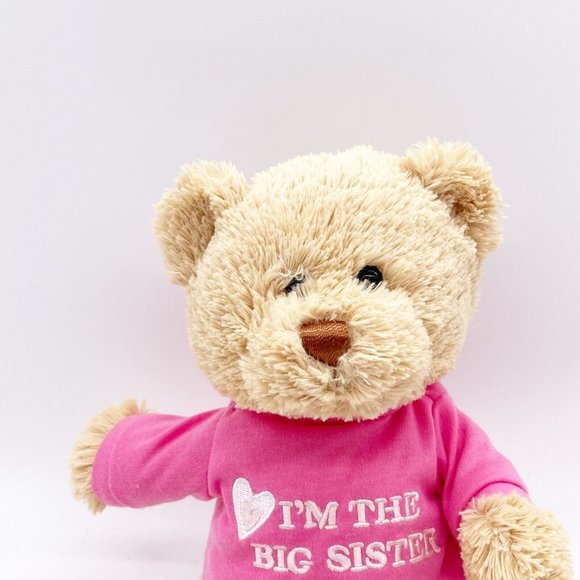 GUND Brown Teddy Bear Plush I'm the Big Sister Pink Shirt Stuffed Animal Toy 12” - Picture 4 of 9
